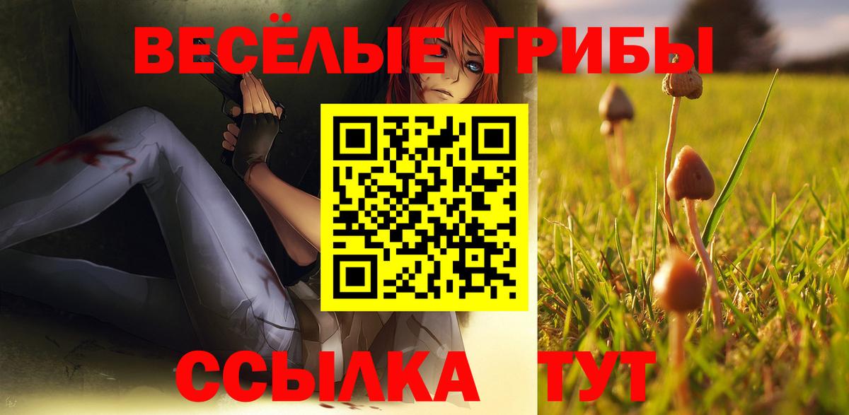 Галлюциногенные грибы Psilocybine cubensis  Вход с VPN  Калач-на-Дону 